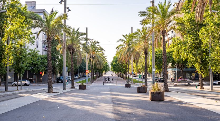 Photo of Easy on the Skyline