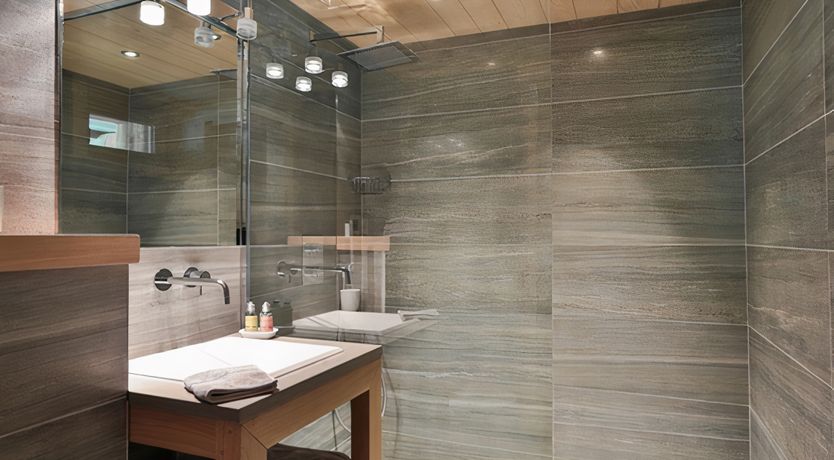 Photo of King of the Alps