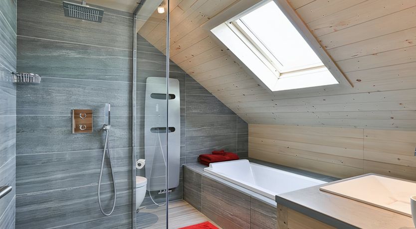 Photo of King of the Alps