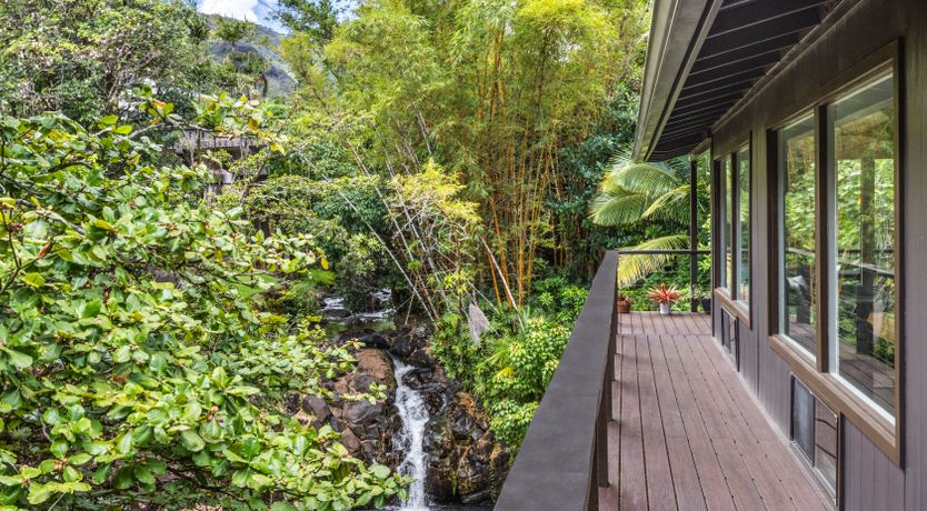 Photo of The Tropical Jungle Getaway