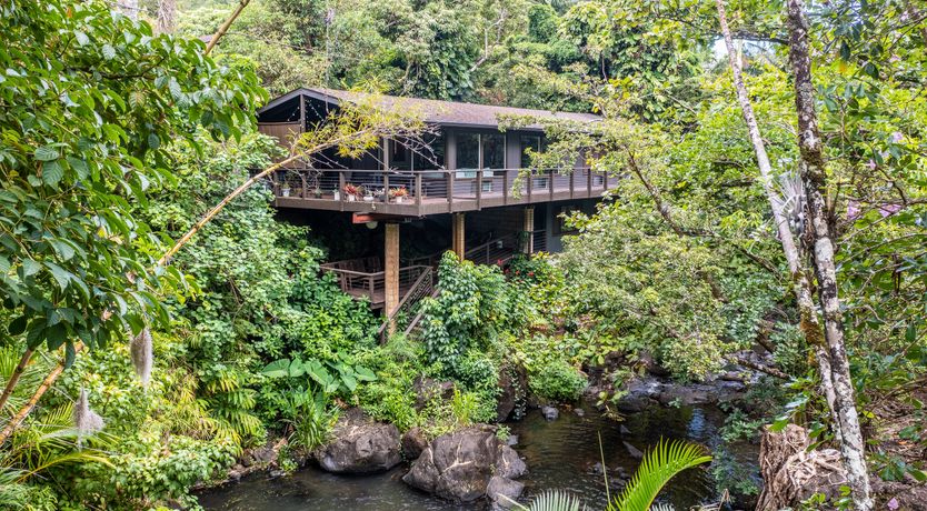 Photo of The Tropical Jungle Getaway