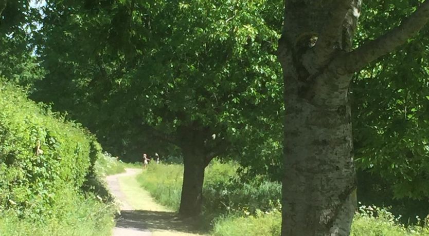 Photo of 2 Bed in Bishop Sutton