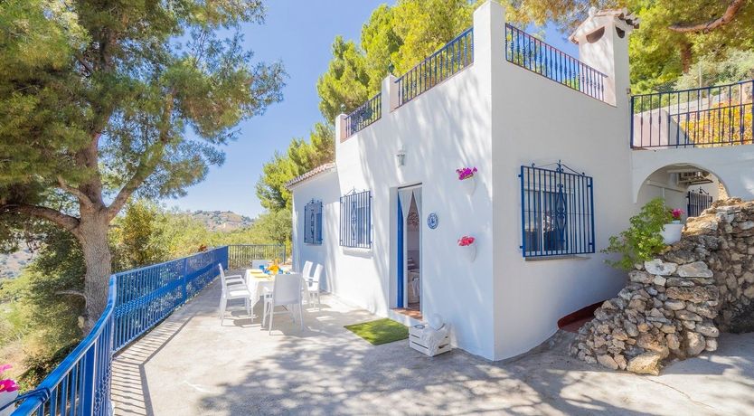 Photo of The Sky Blossom