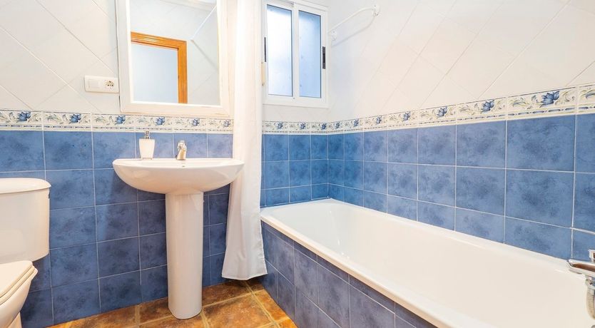 Photo of The Sky Blossom