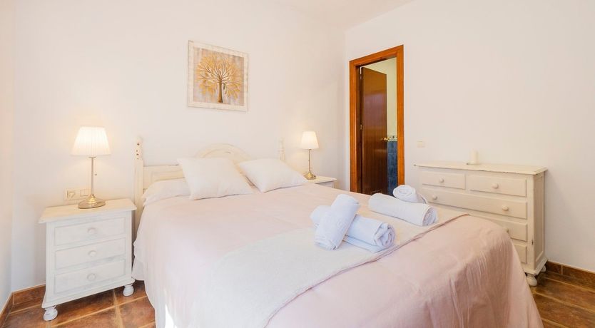 Photo of The Sky Blossom