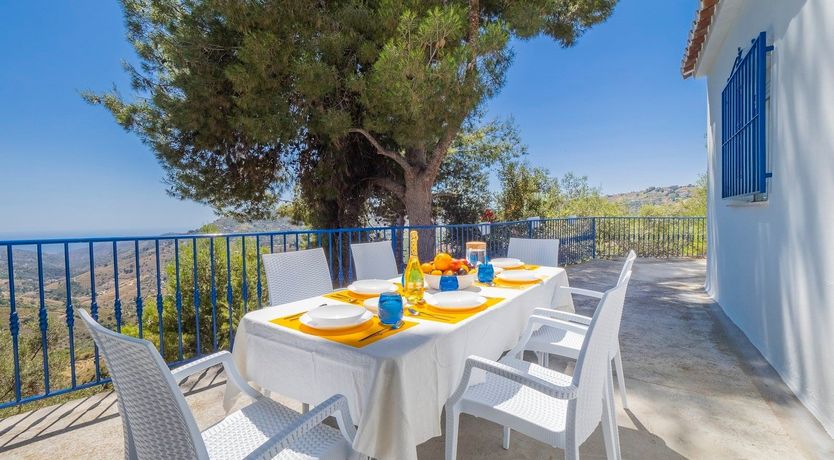 Photo of The Sky Blossom