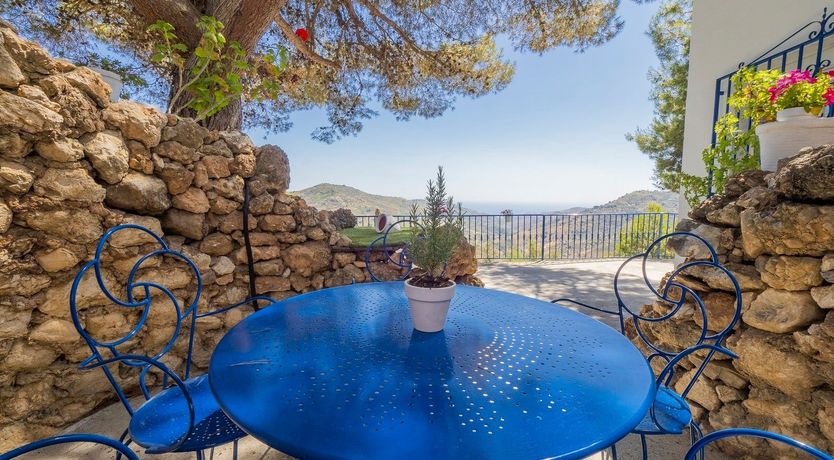 Photo of The Sky Blossom