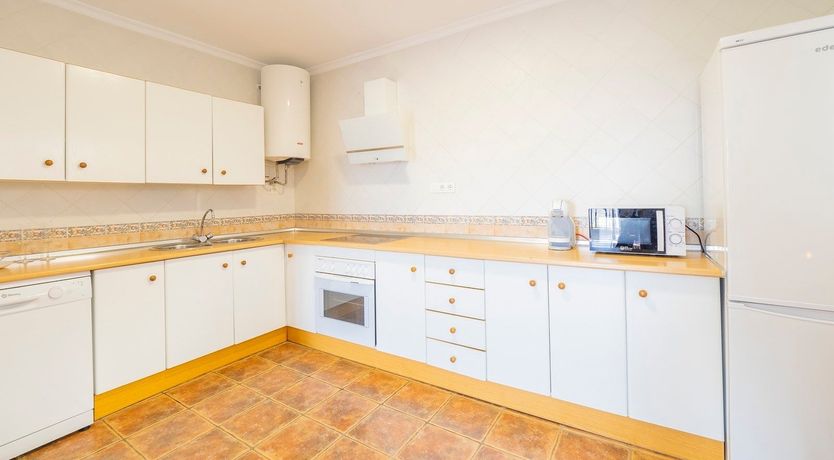 Photo of The Sky Blossom