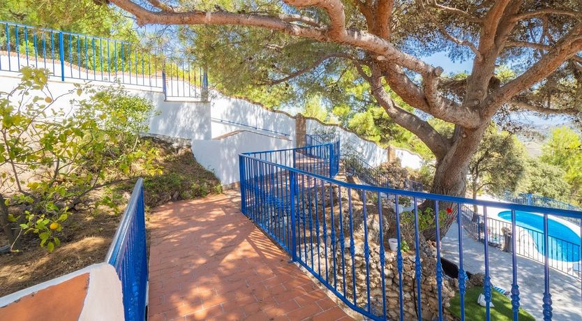 Photo of The Sky Blossom