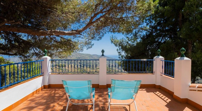 Photo of The Sky Blossom