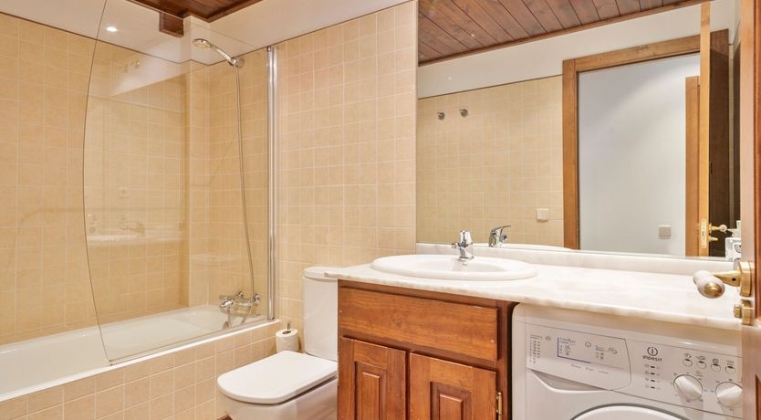 Photo of Pines Shall Murmur