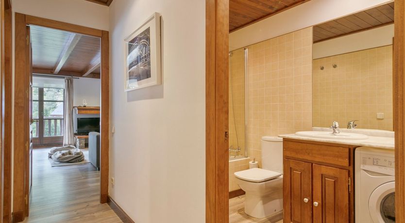 Photo of Pines Shall Murmur