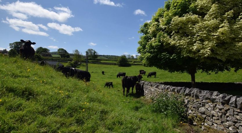 Photo of 1 Bed in Ashford in the Water