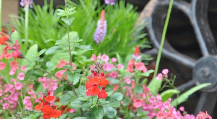 Photo of 1 Bed in Longtown