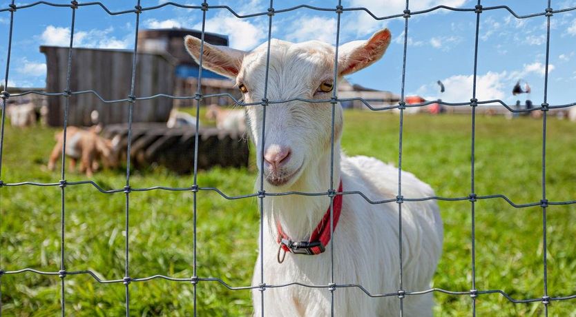 Photo of 2 Bed in Chew Magna