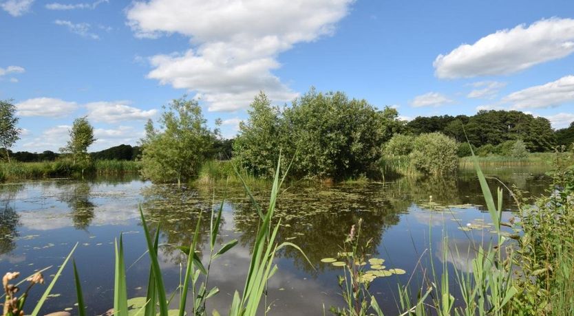 Photo of 1 Bed in East Harling