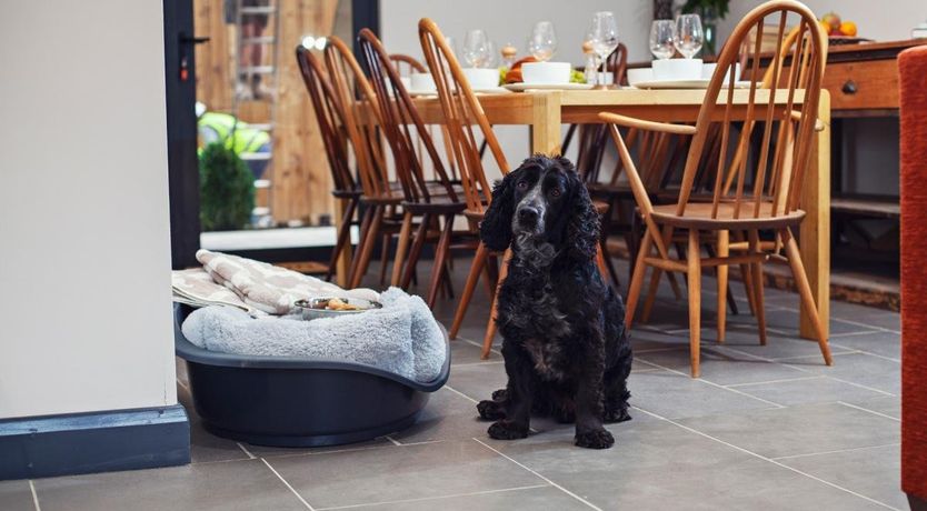 Photo of 5 Bed in Huntley