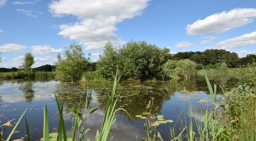 Photo of 1 Bed in East Harling