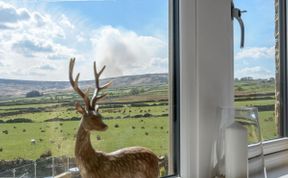 Photo of Apartment in West Yorkshire