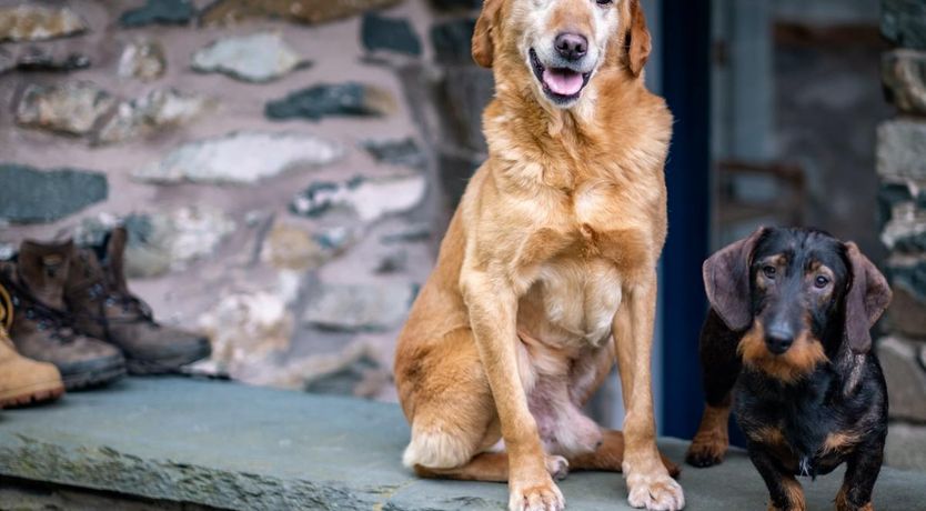 Photo of 4 Bed in Glenridding