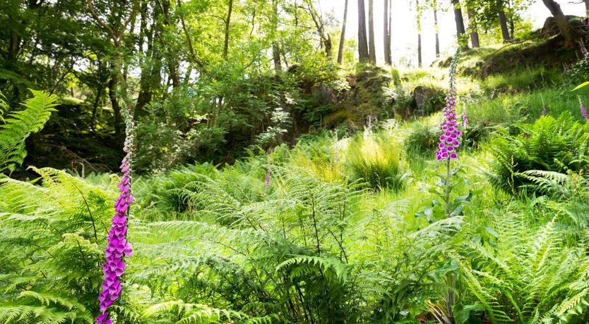 Photo of 1 Bed in Glenridding