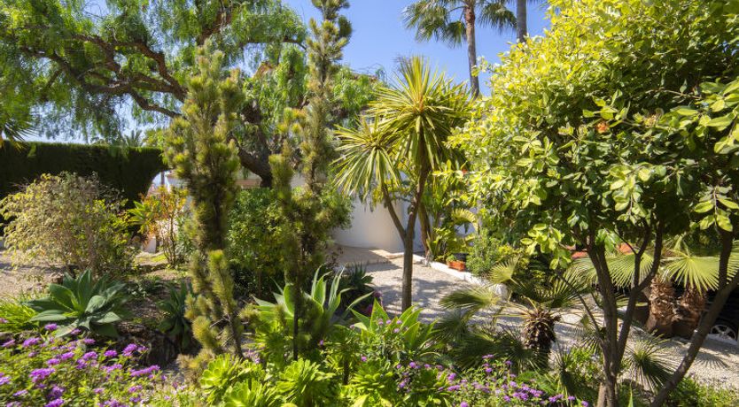 Photo of Septimo Cielo