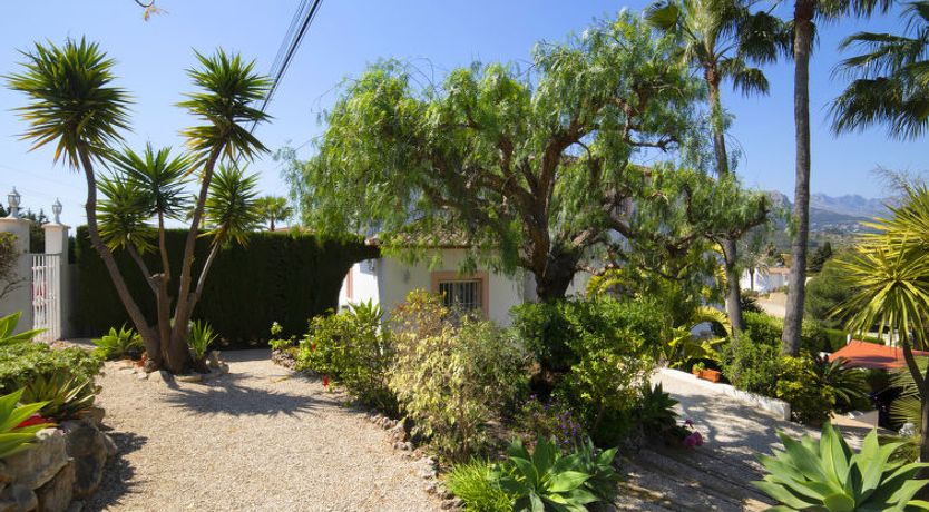 Photo of Septimo Cielo