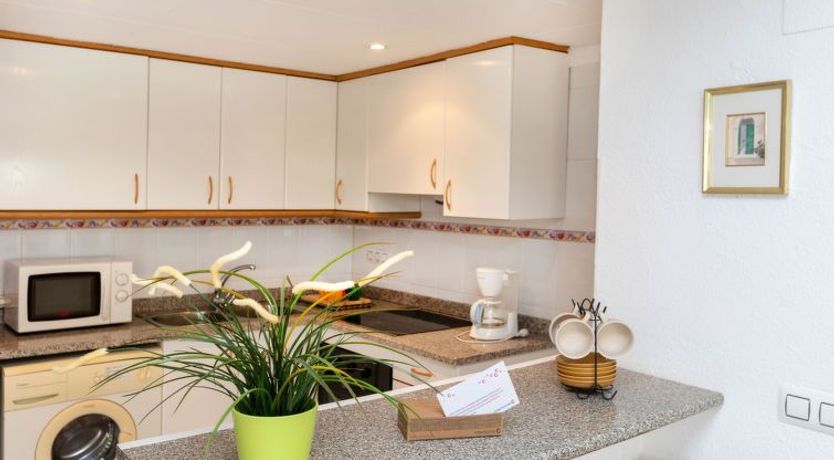 Photo of El Gato II Apartment 2