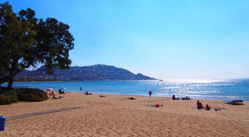 Photo of El colibri II