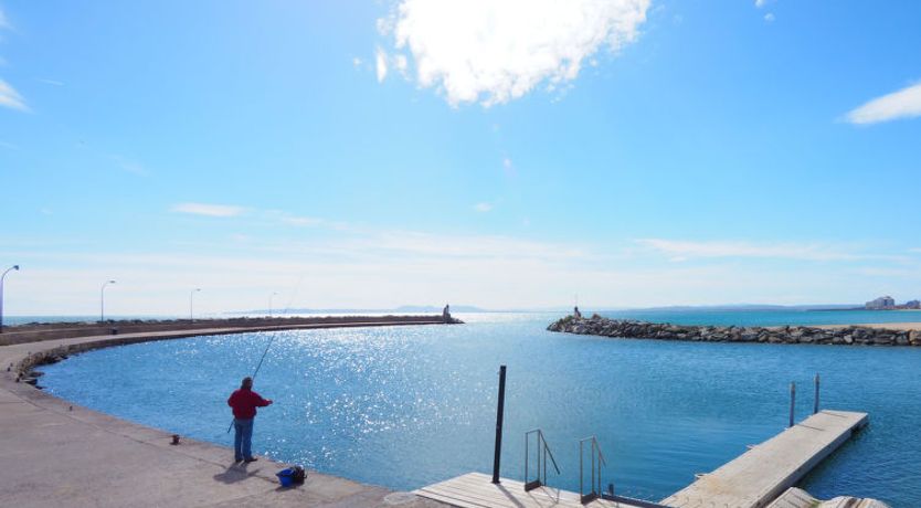 Photo of El colibri II