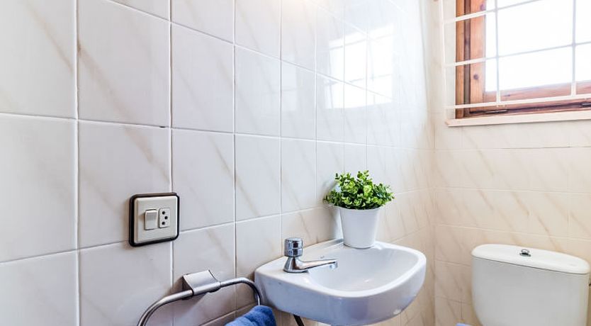 Photo of Els Jardins III