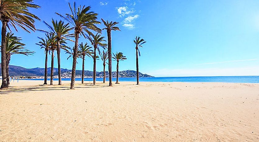 Photo of Mismar Apartment 8