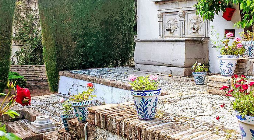 Photo of Carmen Del Agua