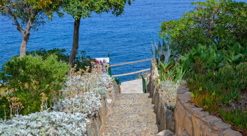 Photo of El Paraiso