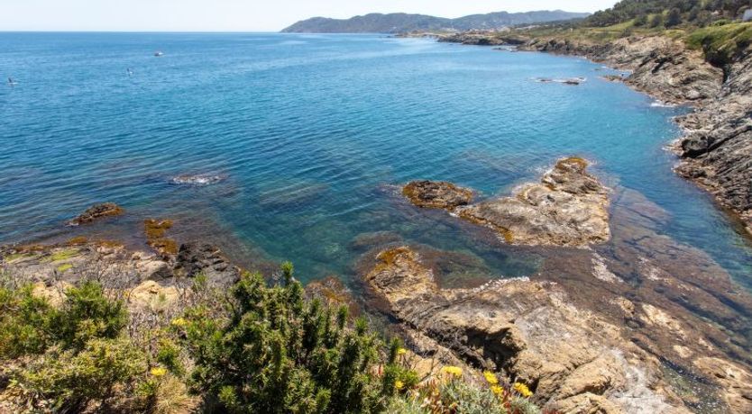 Photo of El Paraiso