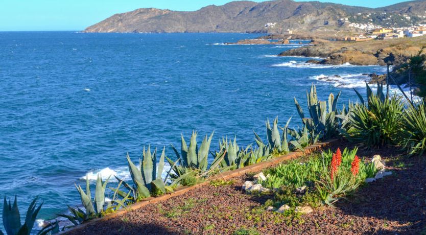 Photo of El Paraiso