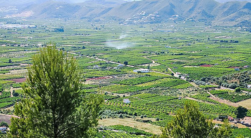 Photo of Grand Lusianna