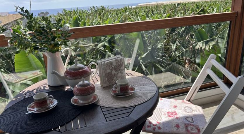 Photo of Los Jablitos