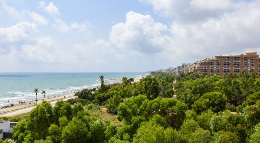 Photo of Kivu - Torre la Sal