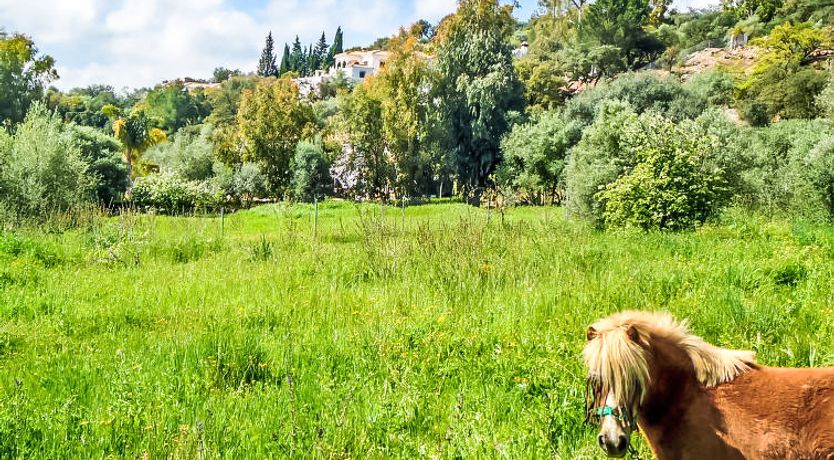 Photo of Pendle heights