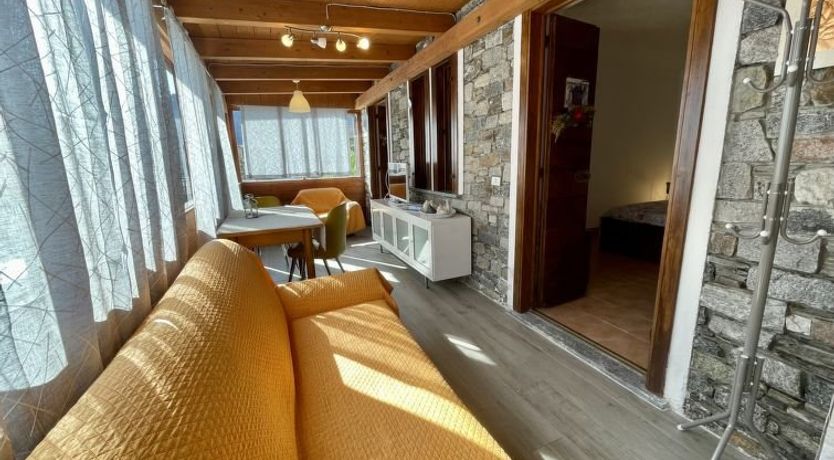 Photo of Sofia (DMA333)