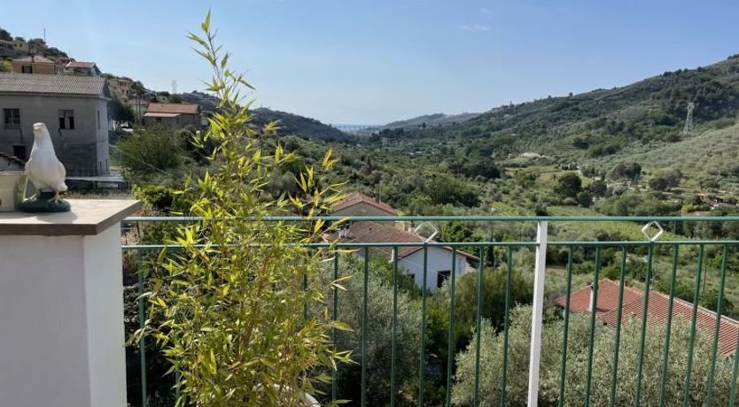 Photo of Daniela (DOL295)