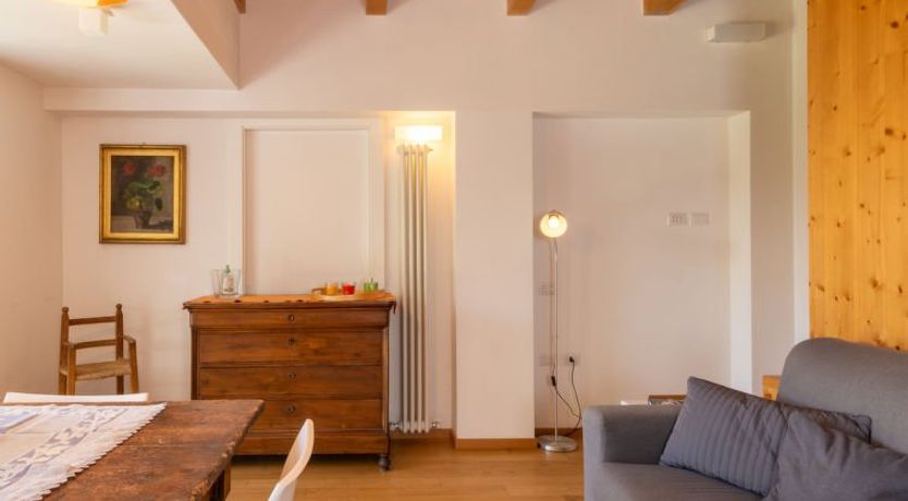 Photo of Baila (CCO510)