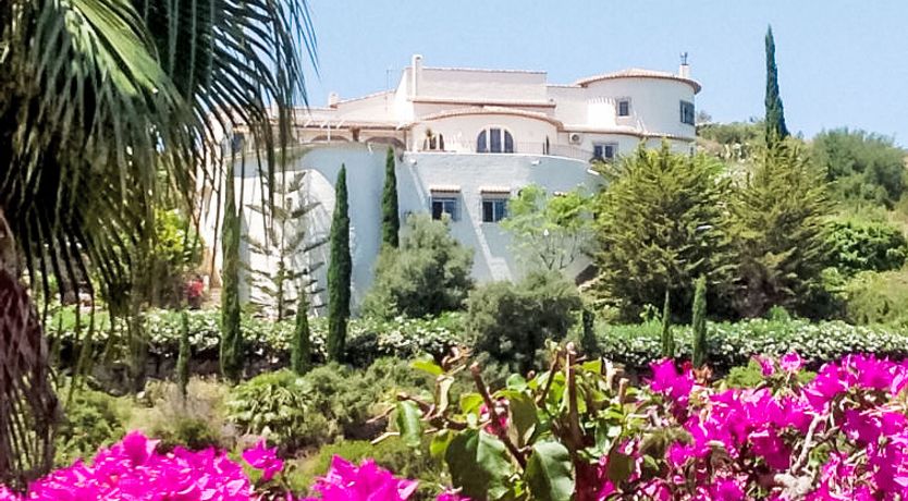 Photo of Villa Da Vinci Villa 2