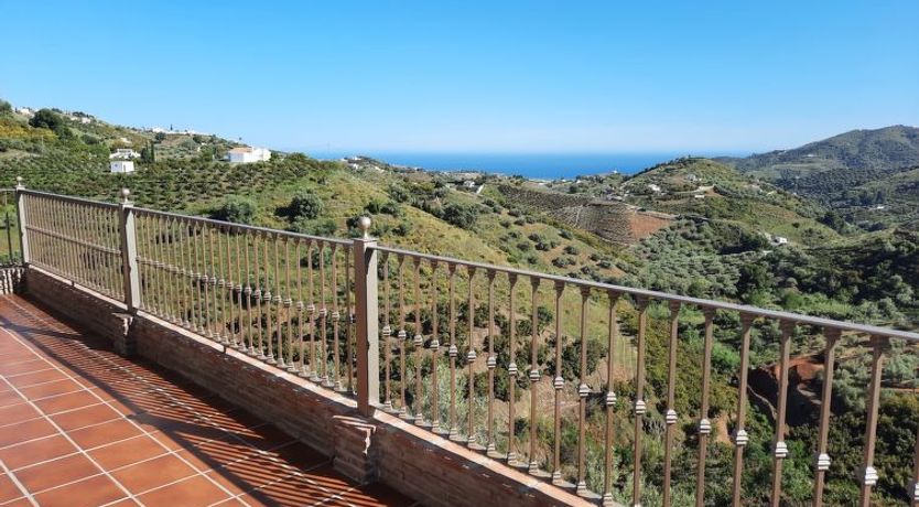 Photo of Tres Palmeras