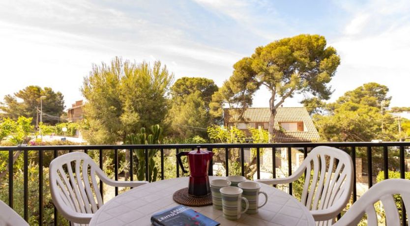 Photo of Mas Baixuli