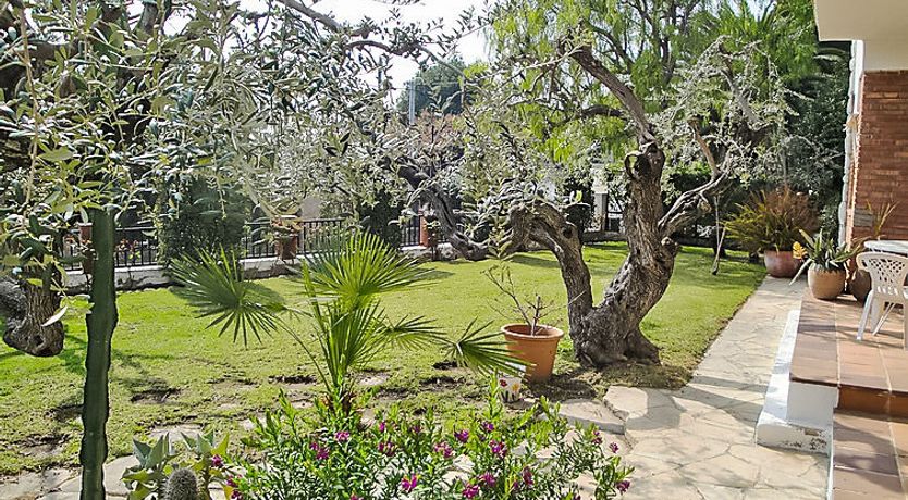 Photo of Mas Baixuli