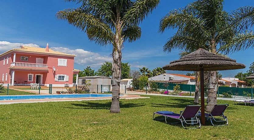 Photo of Das Amendoeiras