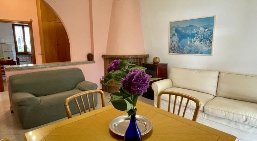 Photo of Romina (DMA175)