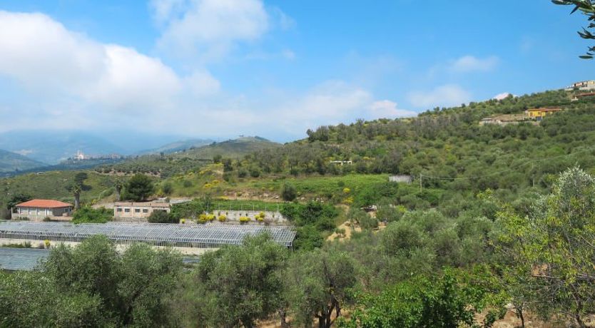 Photo of Ivano (PGI125)